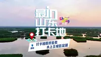 在潍坊寿光，有一片巨大的天然湿地，被称作水上王城·巨淀湖。泛舟湖上，如同进入仙境一般，绝对是一个拍照打卡的好地方～#好客山东好品山东#最in山东打卡地