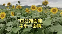 中江挂面村 千年一面情