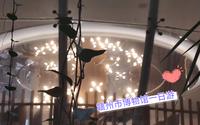 赣州市博物馆一日游（我真的累了）