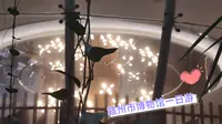 赣州市博物馆一日游（我真的累了）