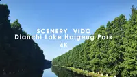 【伪4K 60帧】第一视角漫步：云南滇池海埂公园