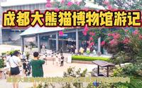 成都的熊猫博物馆，沉浸式体验，了解熊猫的前世今生