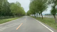 半日游：2026年5月20日，辽阳太子河湿地公园掠影，下集