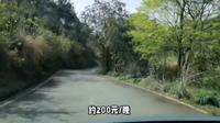 探秘重庆武陵山国家森林公园攻略