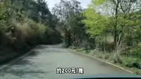 探秘重庆武陵山国家森林公园攻略