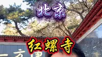 5分钟探秘红螺寺，您不知道的太多了