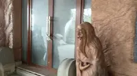 千岛湖自然博物馆