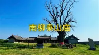 南柳泰山庙