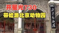 开星光730，带娃逛北京动物园，体验春日美好！