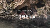 1000个温泉挑战之芒棒树洞温泉