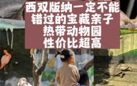西双版纳一定不能错过的宝藏小众亲子热带动物园，性价比超高，还可以零距离接触好多动物