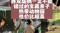 西双版纳一定不能错过的宝藏小众亲子热带动物园，性价比超高，还可以零距离接触好多动物