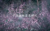说走就走旅行-宁海森林温泉游记 重玩