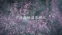 说走就走旅行-宁海森林温泉游记 重玩