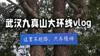 今年秋天的第一次爬山，速穿武汉九真山大环线