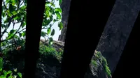 棒槌山磬锤峰