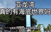 亚龙湾的海滩叫海底世界.并不是真正的海底世界.