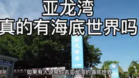 亚龙湾的海滩叫海底世界.并不是真正的海底世界.