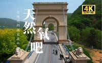 「4K航拍｜超清」🌈大连西郊国家森林公园 📍木栈道徒步之旅！天然氧吧~