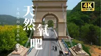 「4K航拍｜超清」🌈大连西郊国家森林公园 📍木栈道徒步之旅！天然氧吧~