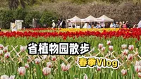 湖南省植物园之春季散步