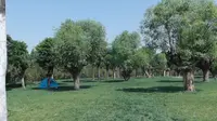 西安最适合露营的公园，杜邑遗址公园
