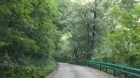 ［第一人称POV］罗通山下山实录