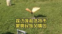 探访呼和浩特市蒙亮民族风情园，感受多元的民族文化
