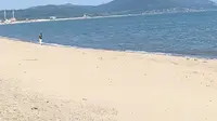 龙湾海滨风景区景色真美。