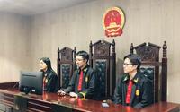 【模拟会议】走进南京镜见律师博物馆，享受一场口译与法律的双重盛宴