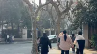 上海武康路历史文化名街，不敢相信现状是这样的，太出乎意料了