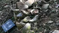 上林湖越窑遗址