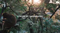黔灵之韵-贵阳黔灵山旅拍