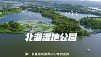 长春北湖湿地公园 真的太美了 周末游玩的好地方