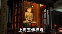 上海玉佛禅寺，吸引许多外国人组团来此参观，内有和尚且不收门票