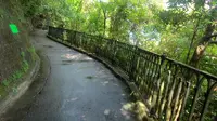香港山顶港岛径卢吉道步行