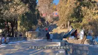 泰山脚下——三官庙