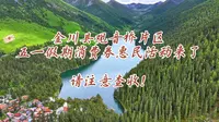 外地游客朋友请注意！金川县观音桥片区“五一”重磅福利来啦🎉