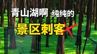 景区刺客青山湖！花💰上百可得“绿野仙踪”，不花钱你将看到...