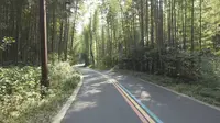 七分钟速通吴越弟一峰