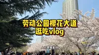 vlog｜大连市内最大的劳动公园樱花开了～周末来溜溜吧！！