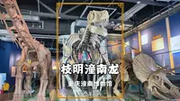 遂潼网络达人潼南行：走进潼南博物馆，参观长达28米的枝明潼南龙