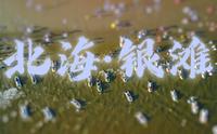 [4K短片] 三分钟了解北海·银滩