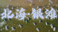 [4K短片] 三分钟了解北海·银滩