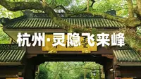 杭州灵隐飞来峰超详细旅行攻略来啦，请收藏