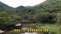 三亚呀诺达雨林文化旅游区攻略