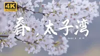 春，太子湾