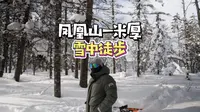 不是雪乡去不起，而是哈尔滨凤凰山更有性价比！你一定没有体验过在一米深的雪地里徒步是什么感受。