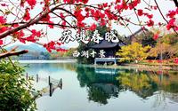 【西湖十景】苏堤春晓，间株杨柳间株桃早早报春晓