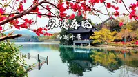 【西湖十景】苏堤春晓，间株杨柳间株桃早早报春晓